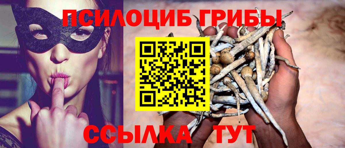 Галлюциногенные грибы мицелий Ливны