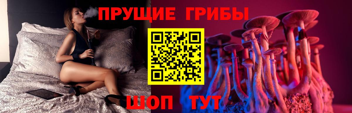 Псилоцибиновые грибы MAGIC MUSHROOMS  Вход с VPN  Псилоцибиновые грибы Cubensis  где продают наркотики  Ливны 